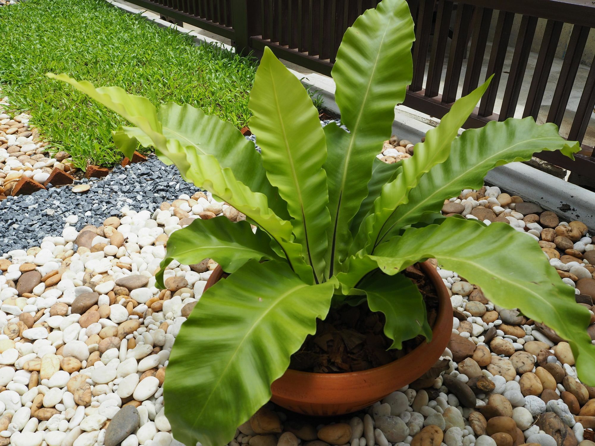 Ban Khlong Nang Li Sukhumvit 50 Garden Home מראה חיצוני תמונה